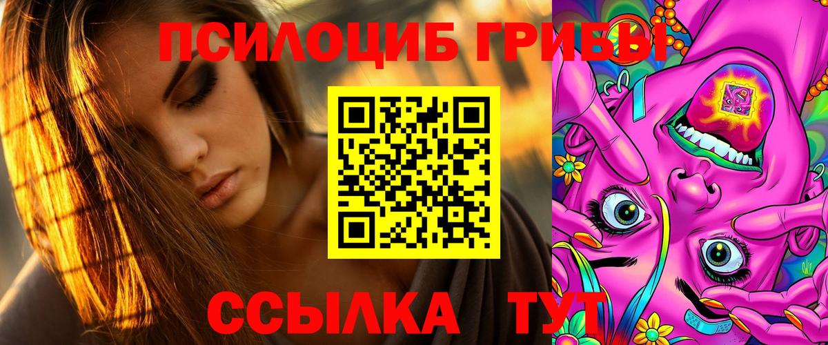 Сланцы  Галлюциногенные грибы MAGIC MUSHROOMS  Вход с VPN 